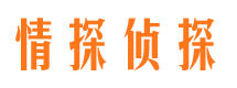 柳林市私人调查